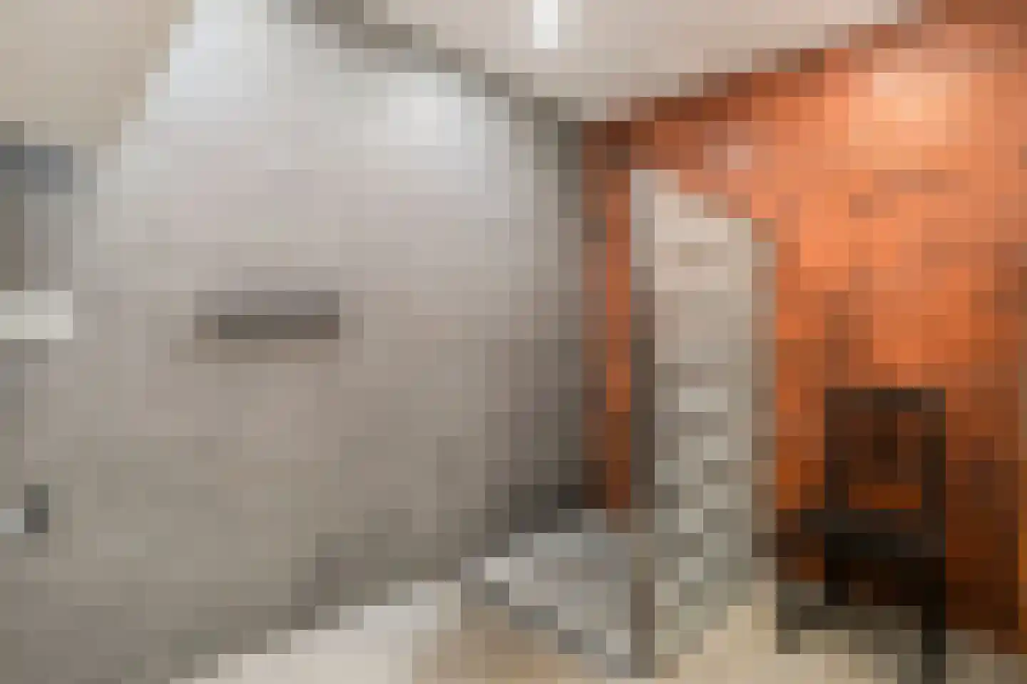 De Gavere 13 Zorgvlied thumbnail 21