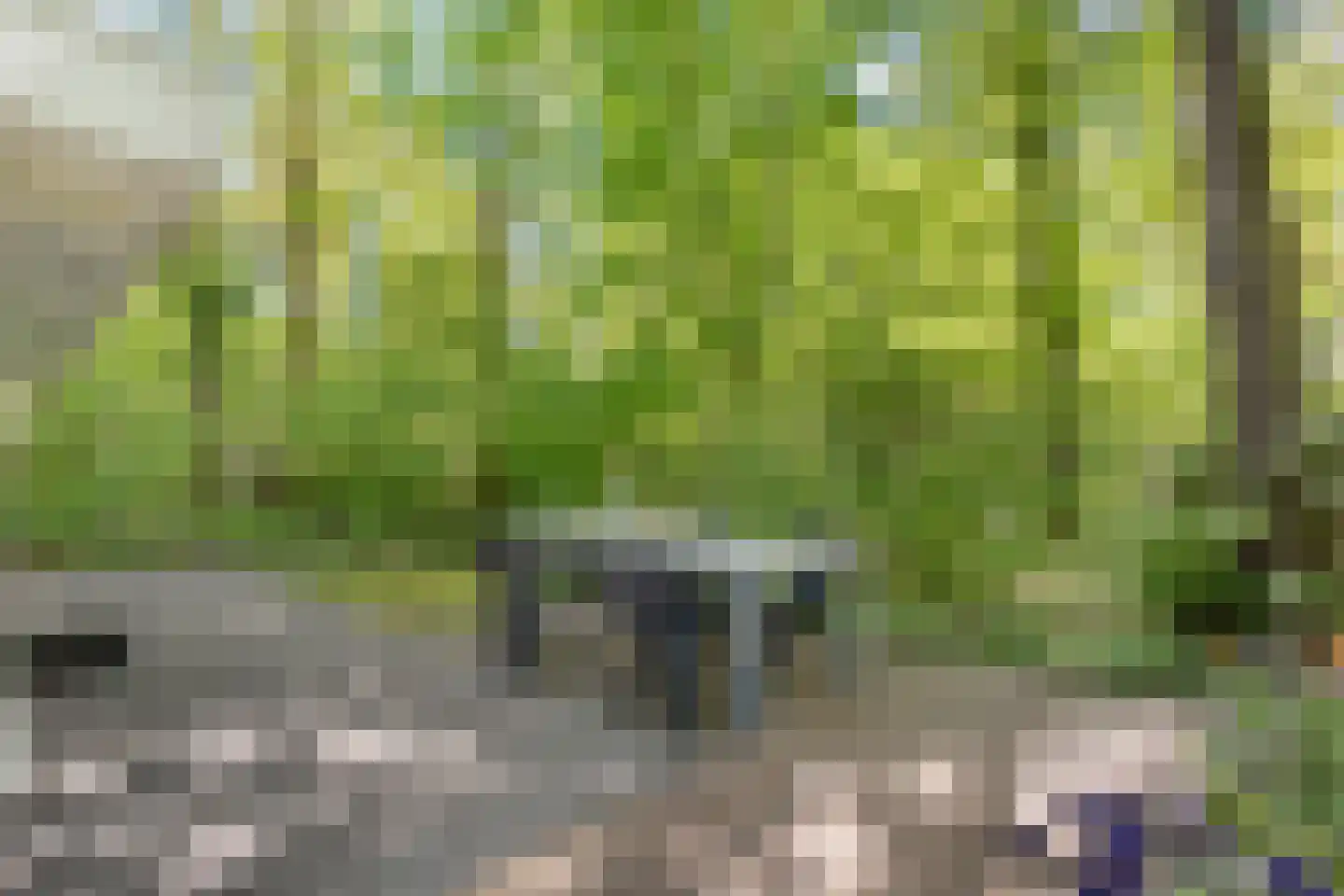 De Gavere 13 Zorgvlied thumbnail 27