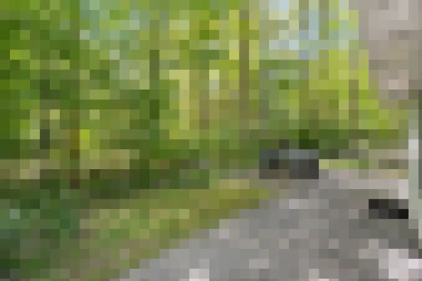 De Gavere 13 Zorgvlied thumbnail 28