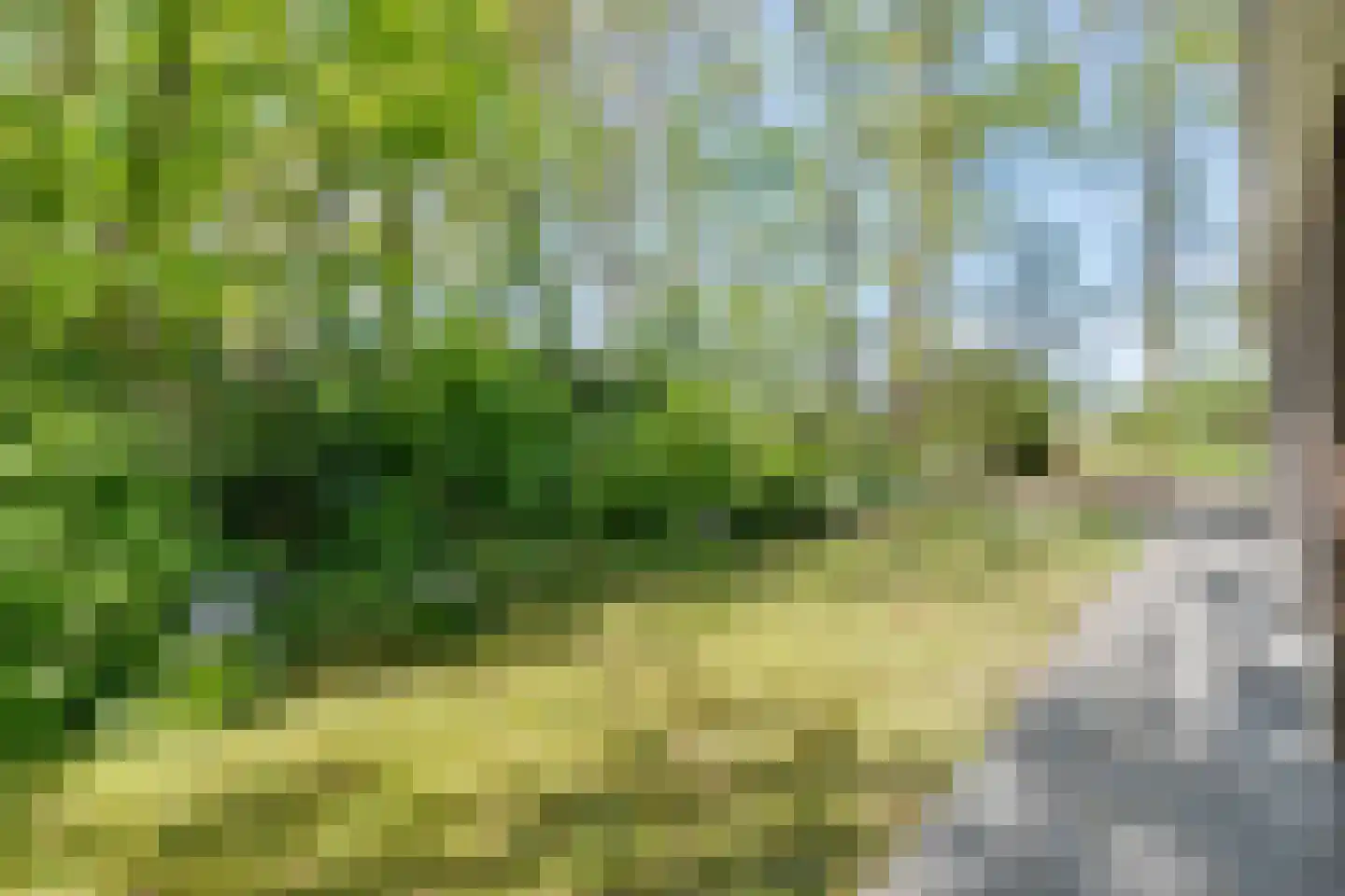 De Gavere 13 Zorgvlied thumbnail 29