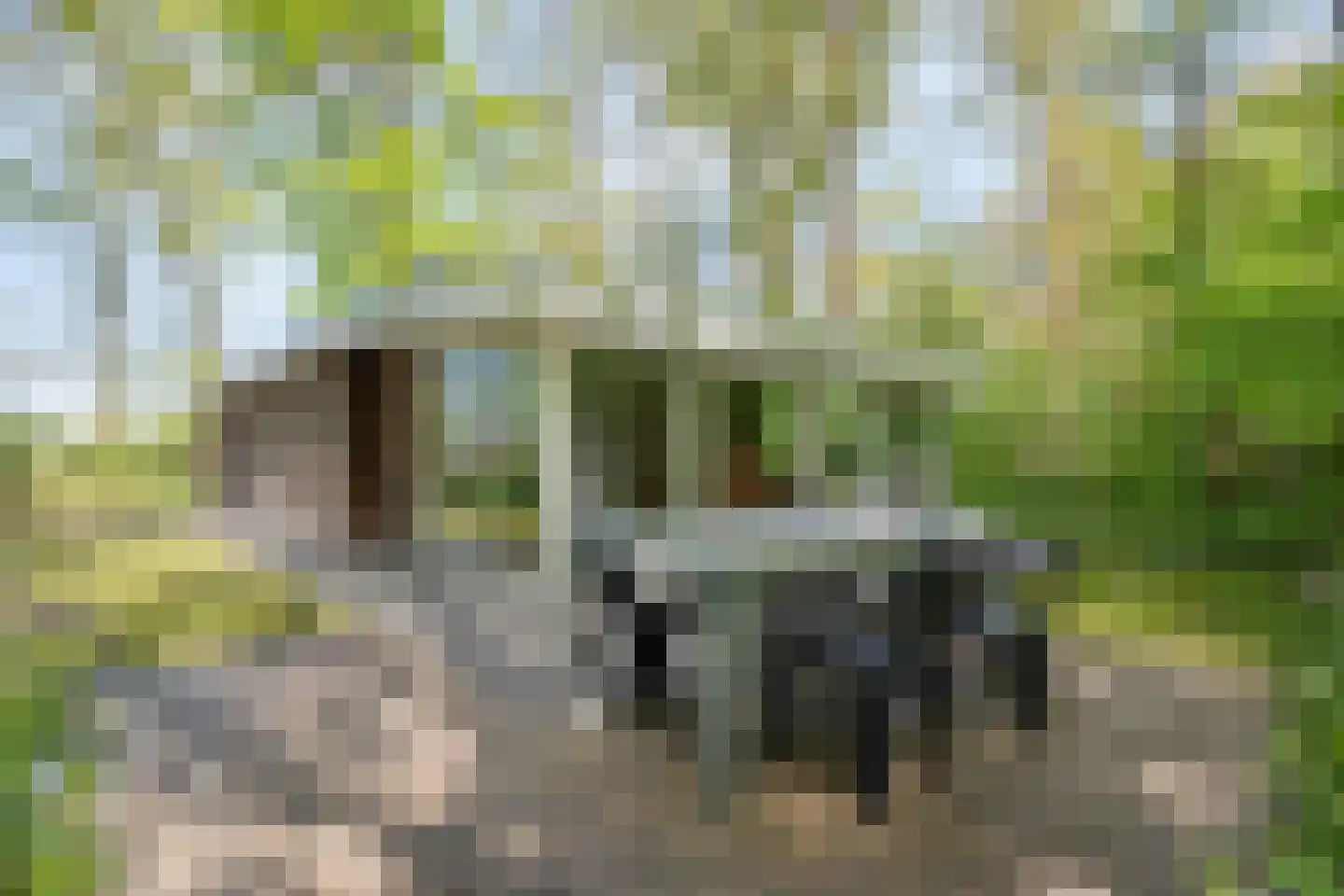 De Gavere 13 Zorgvlied thumbnail 30