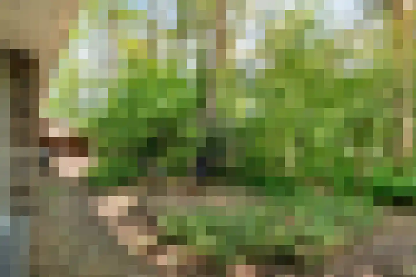 De Gavere 13 Zorgvlied thumbnail 32
