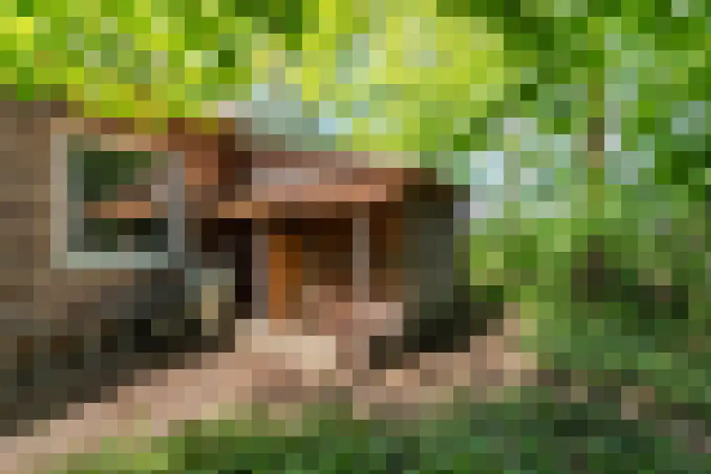 De Gavere 13 Zorgvlied thumbnail 33