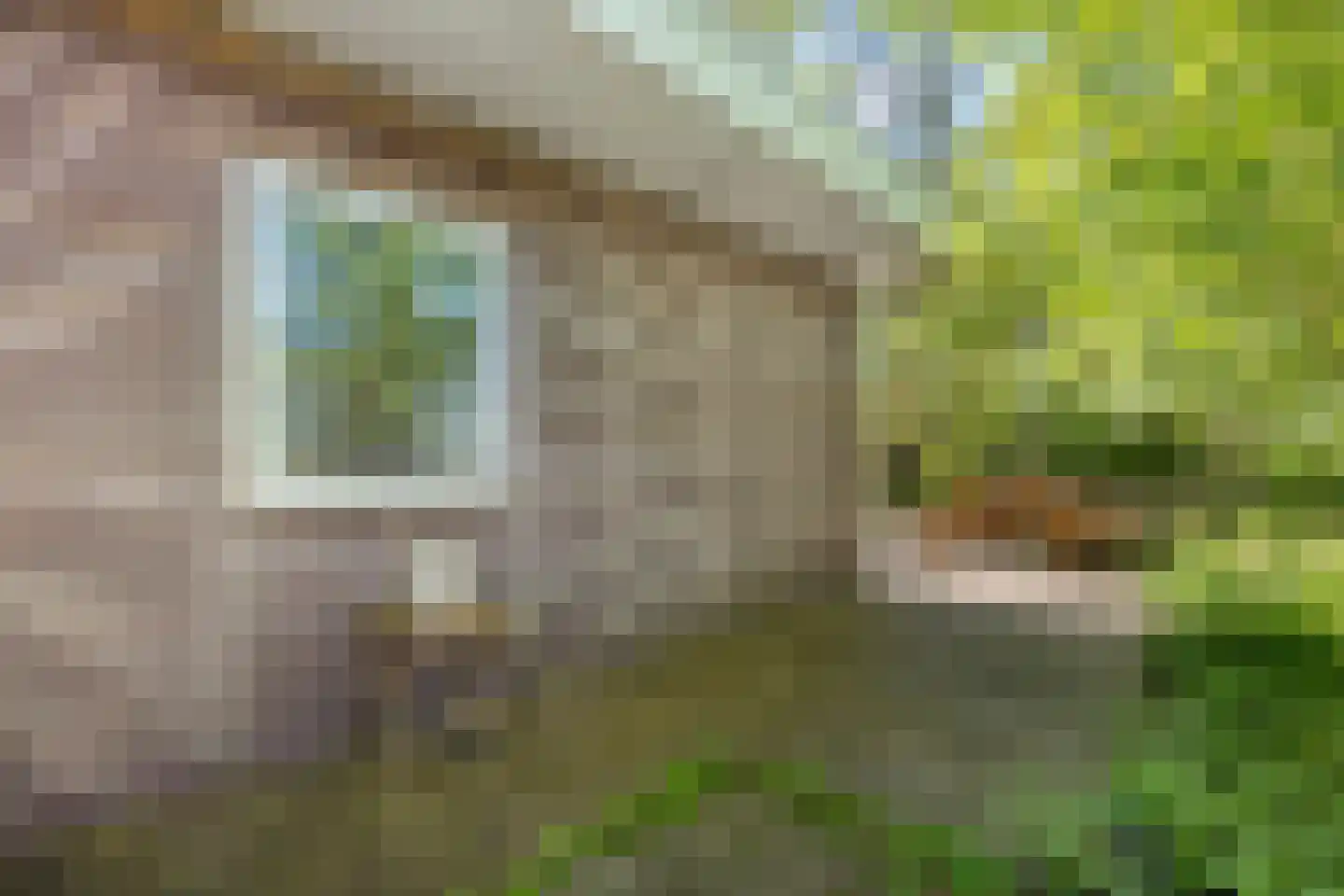 De Gavere 13 Zorgvlied thumbnail 35