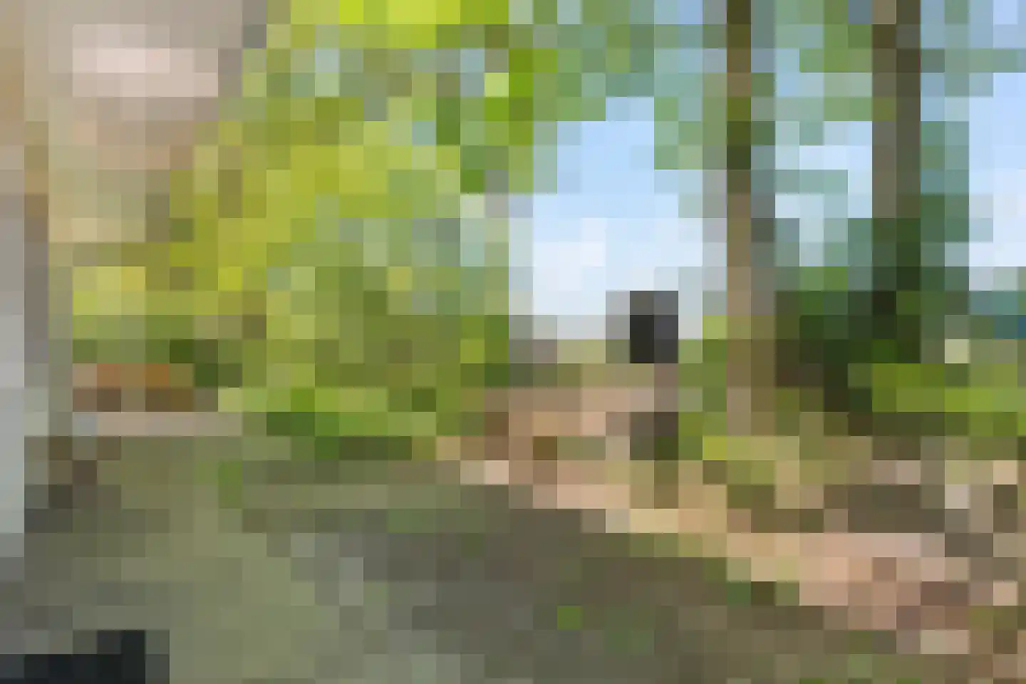 De Gavere 13 Zorgvlied thumbnail 36