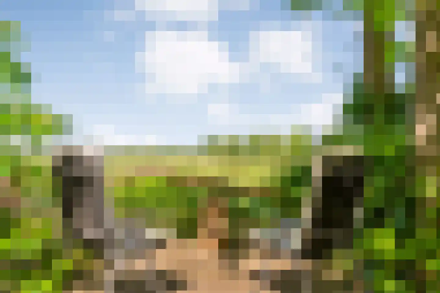 De Gavere 13 Zorgvlied thumbnail 37
