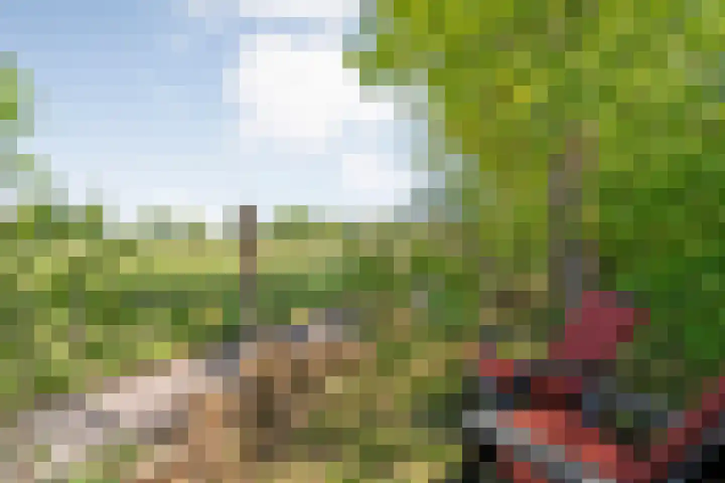 De Gavere 13 Zorgvlied thumbnail 38