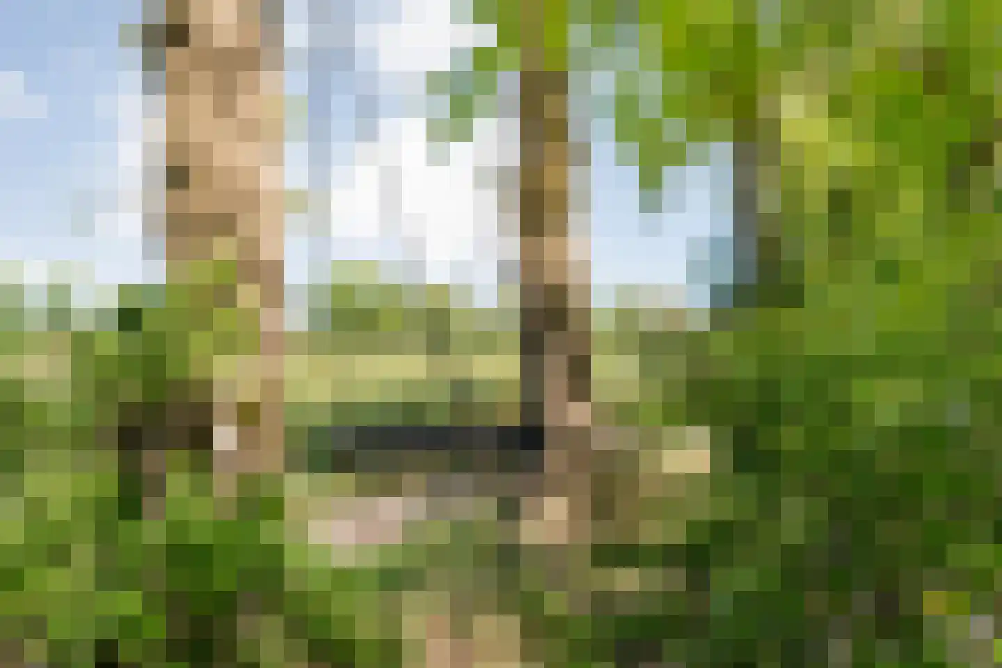 De Gavere 13 Zorgvlied thumbnail 40