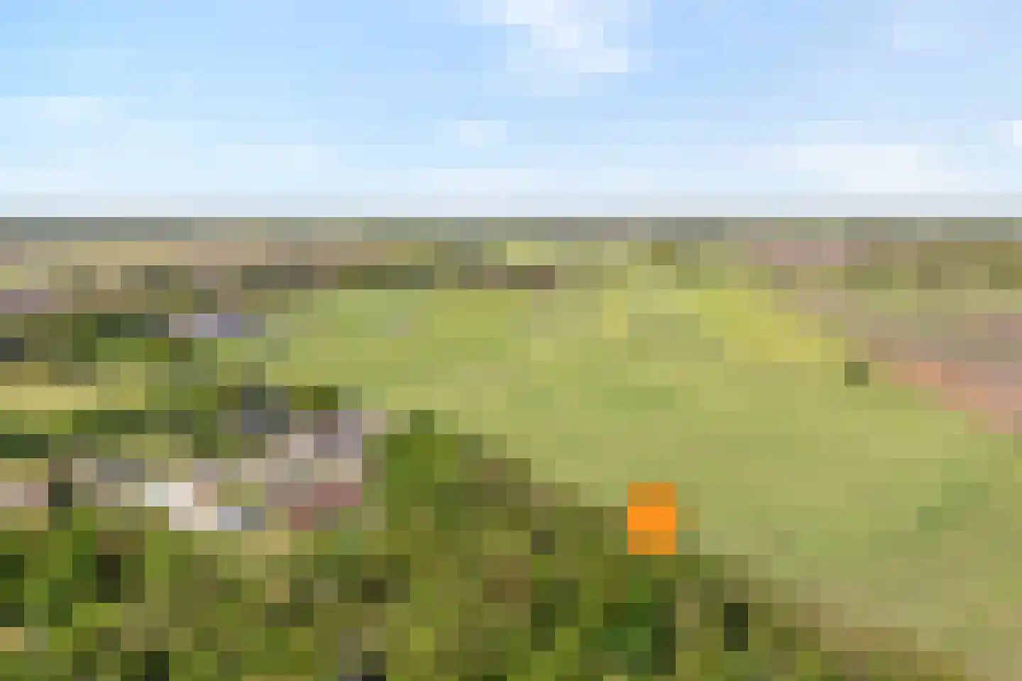 De Gavere 13 Zorgvlied thumbnail 5