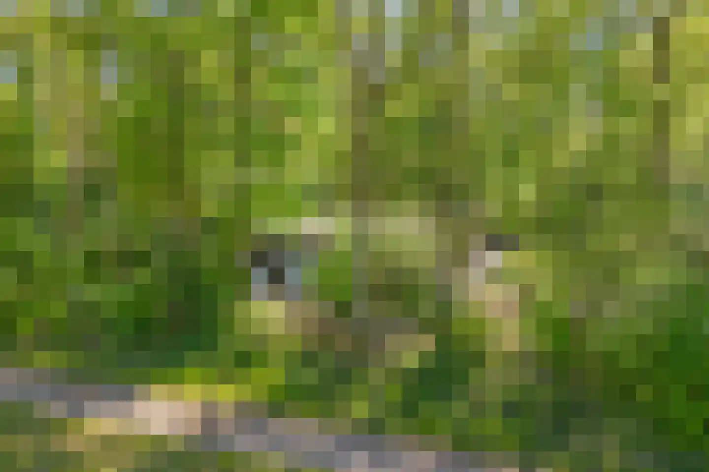 De Gavere 13 Zorgvlied thumbnail 6
