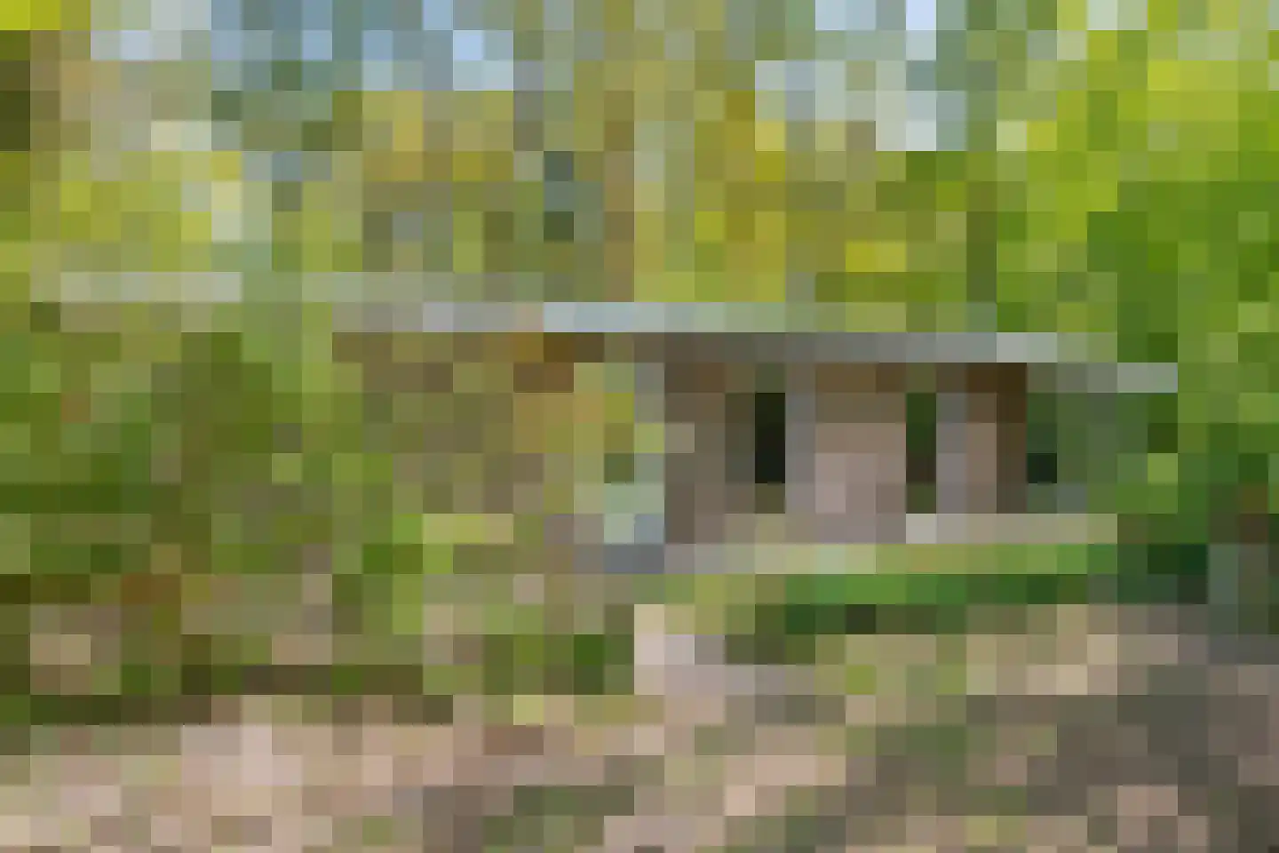 De Gavere 13 Zorgvlied thumbnail 7
