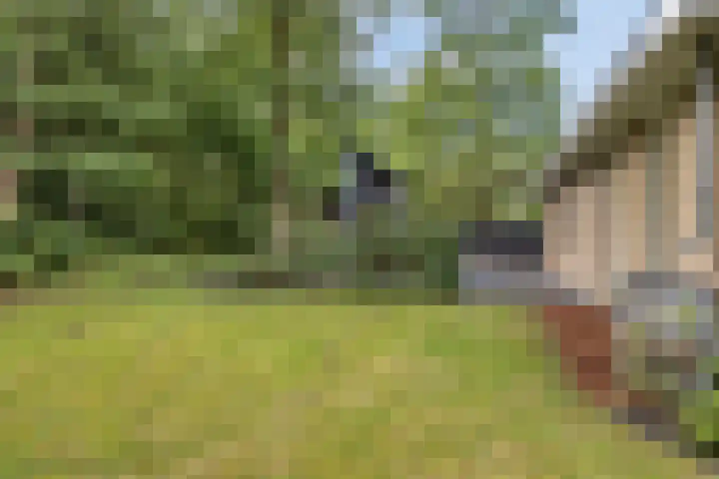 De Gavere 22 Zorgvlied thumbnail 29