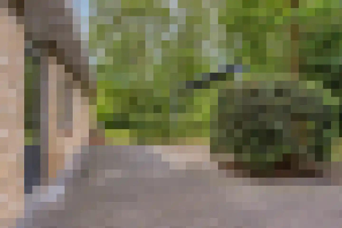 De Gavere 22 Zorgvlied thumbnail 30