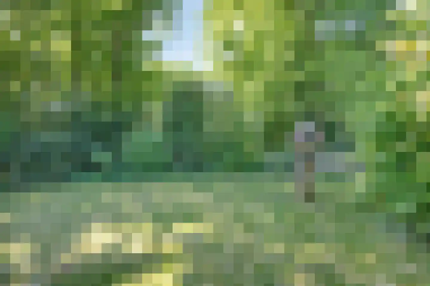 De Gavere 22 Zorgvlied thumbnail 33