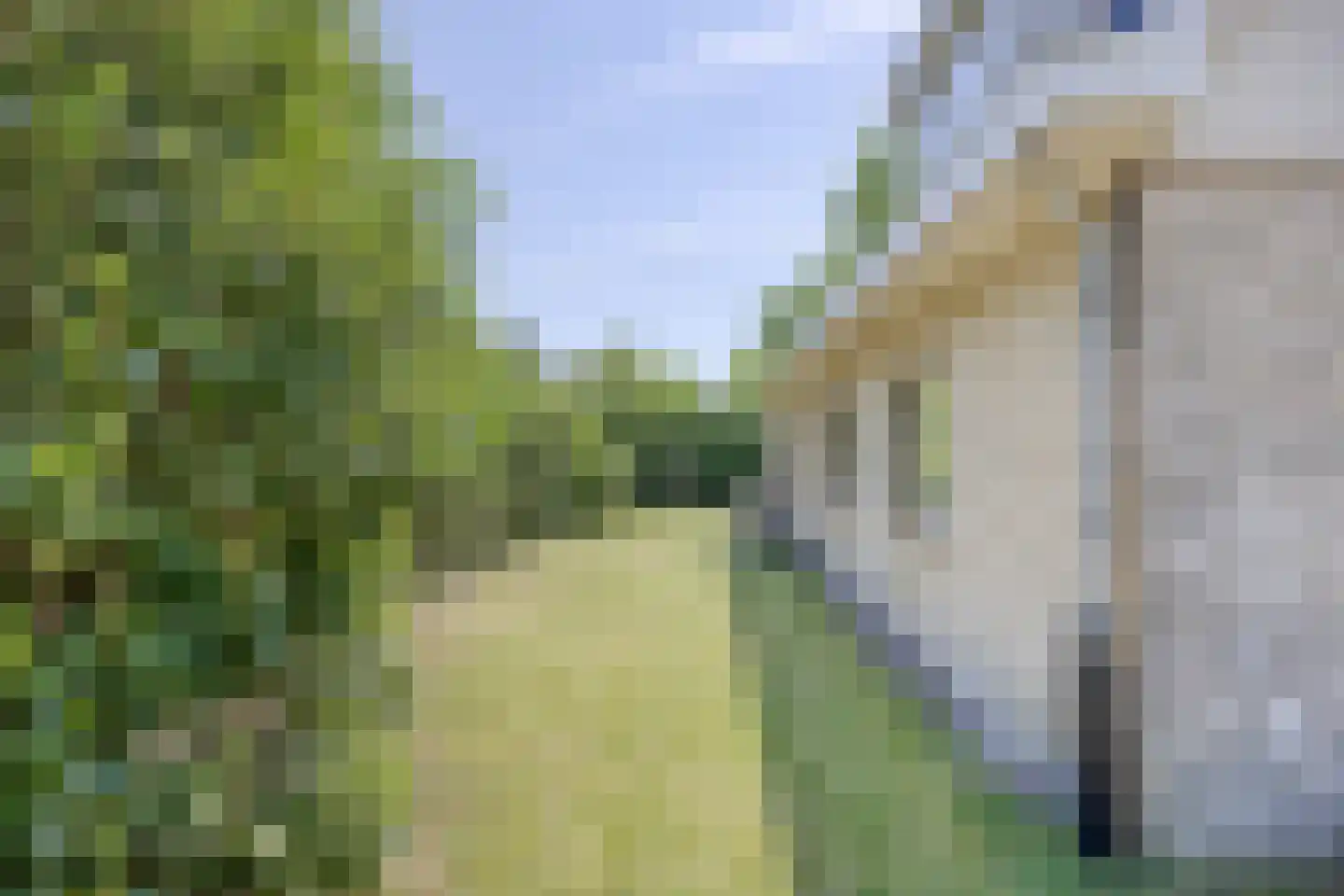 De Gavere 22 Zorgvlied thumbnail 35
