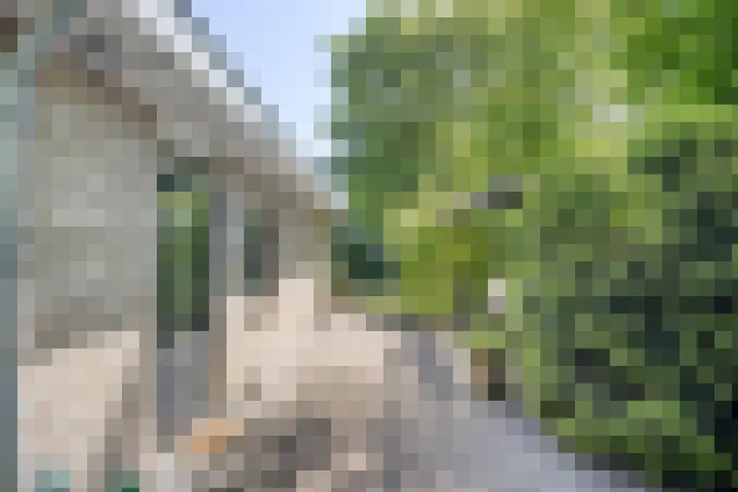 De Gavere 22 Zorgvlied thumbnail 36