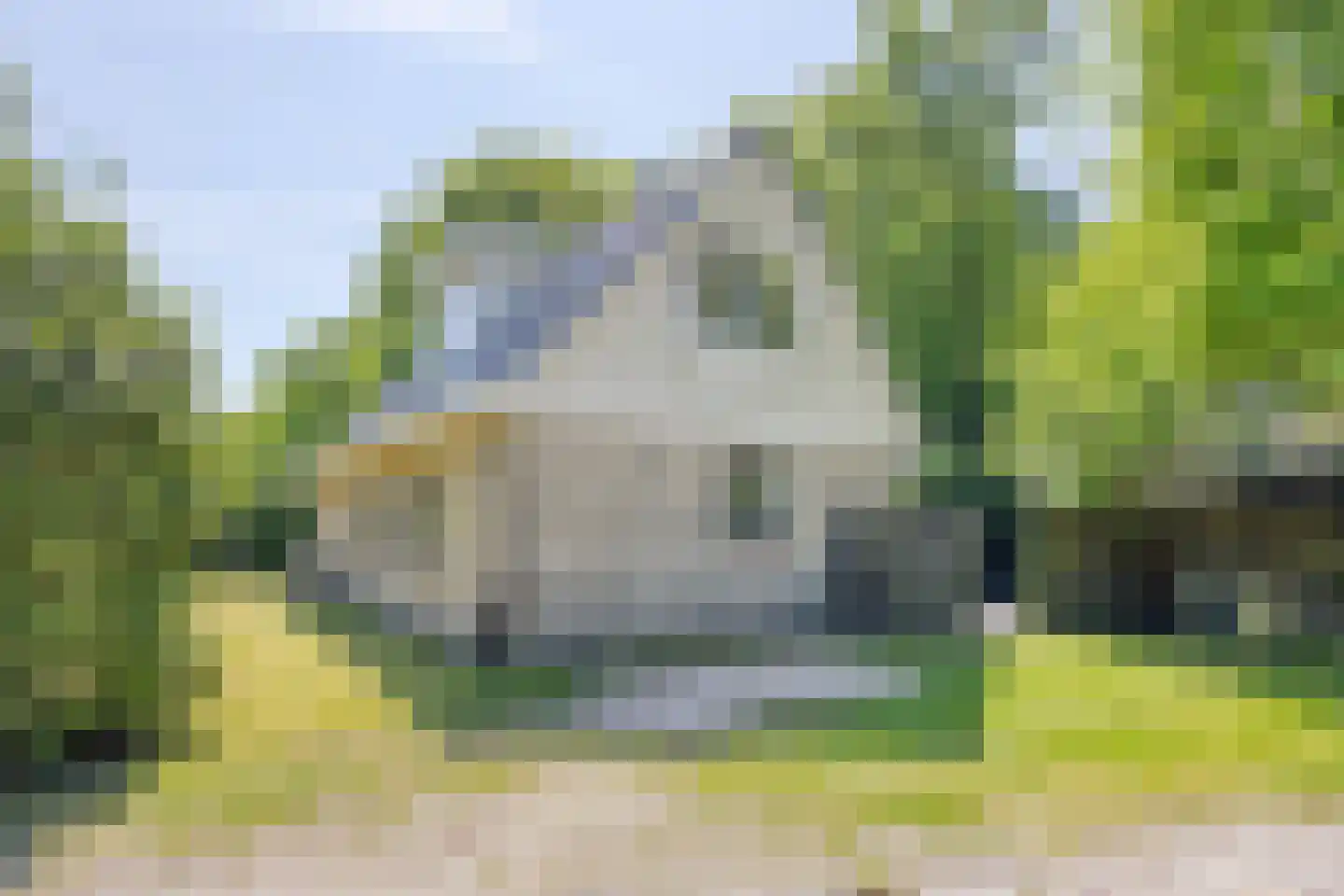 De Gavere 22 Zorgvlied thumbnail 4