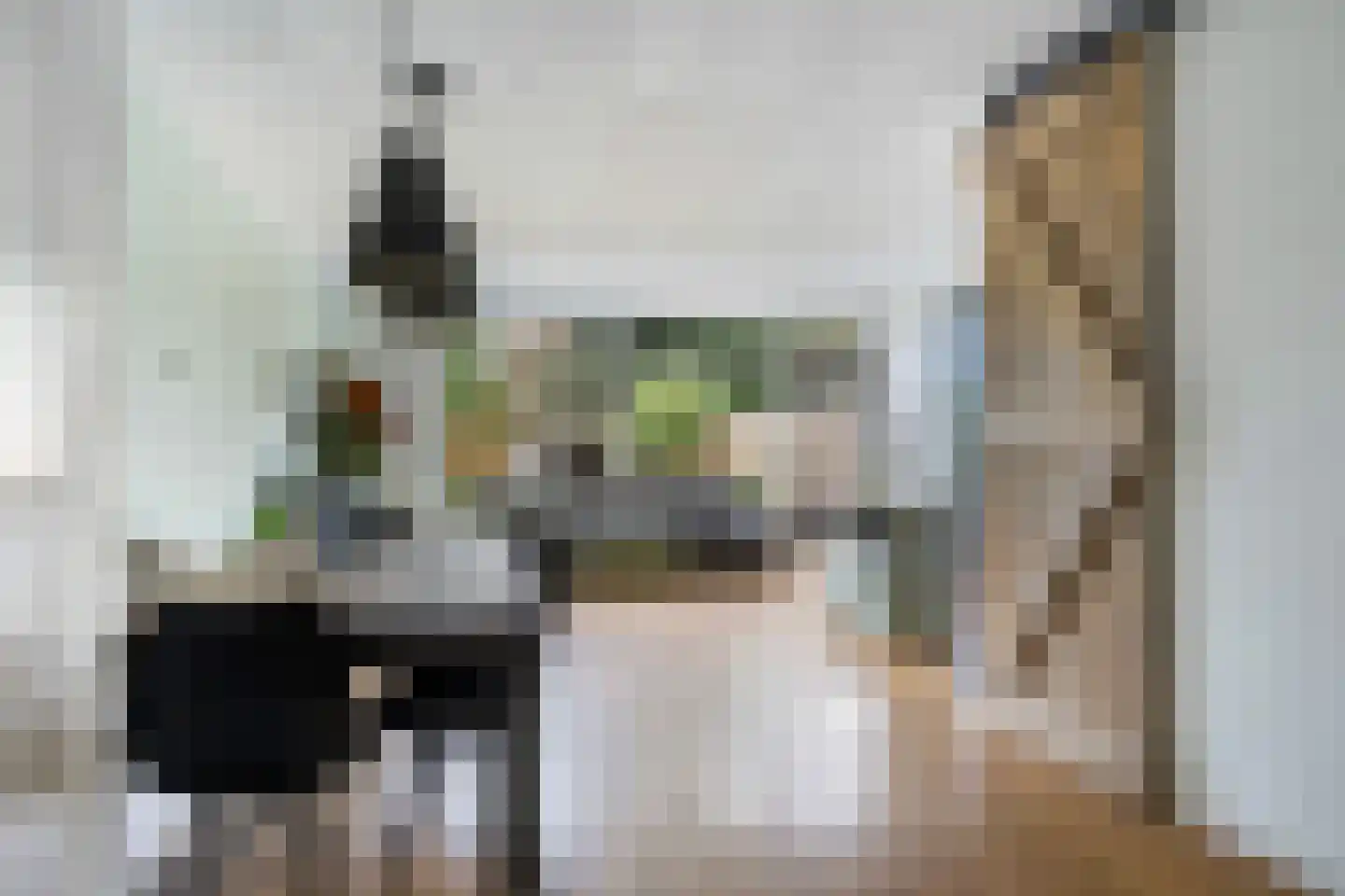de Gealanden 149 Leeuwarden thumbnail 14