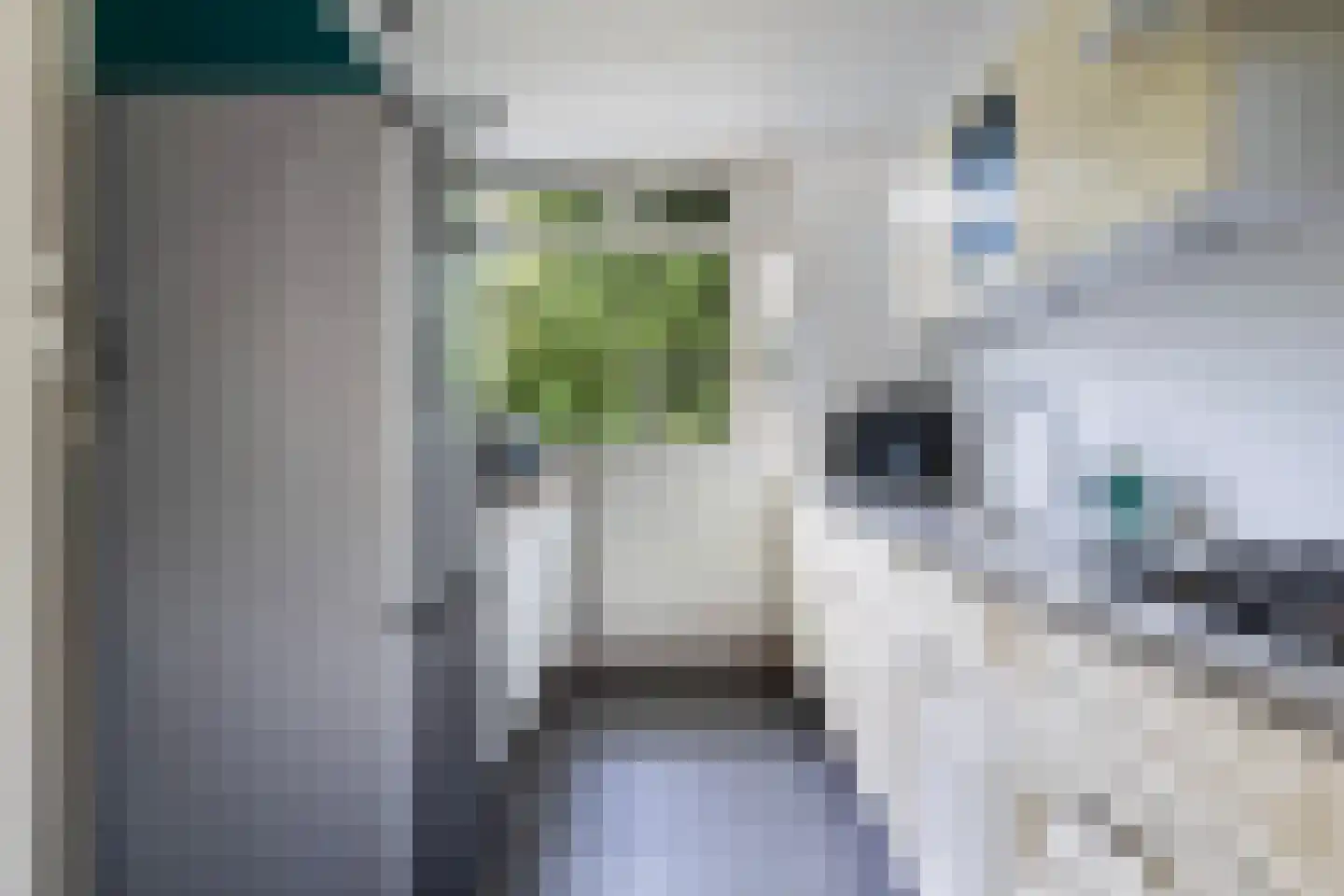 de Gealanden 149 Leeuwarden thumbnail 17