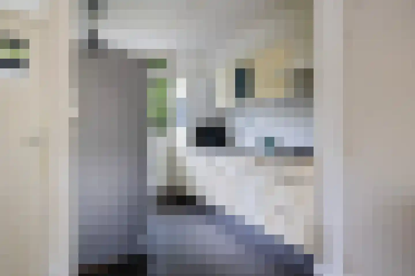 de Gealanden 149 Leeuwarden thumbnail 18