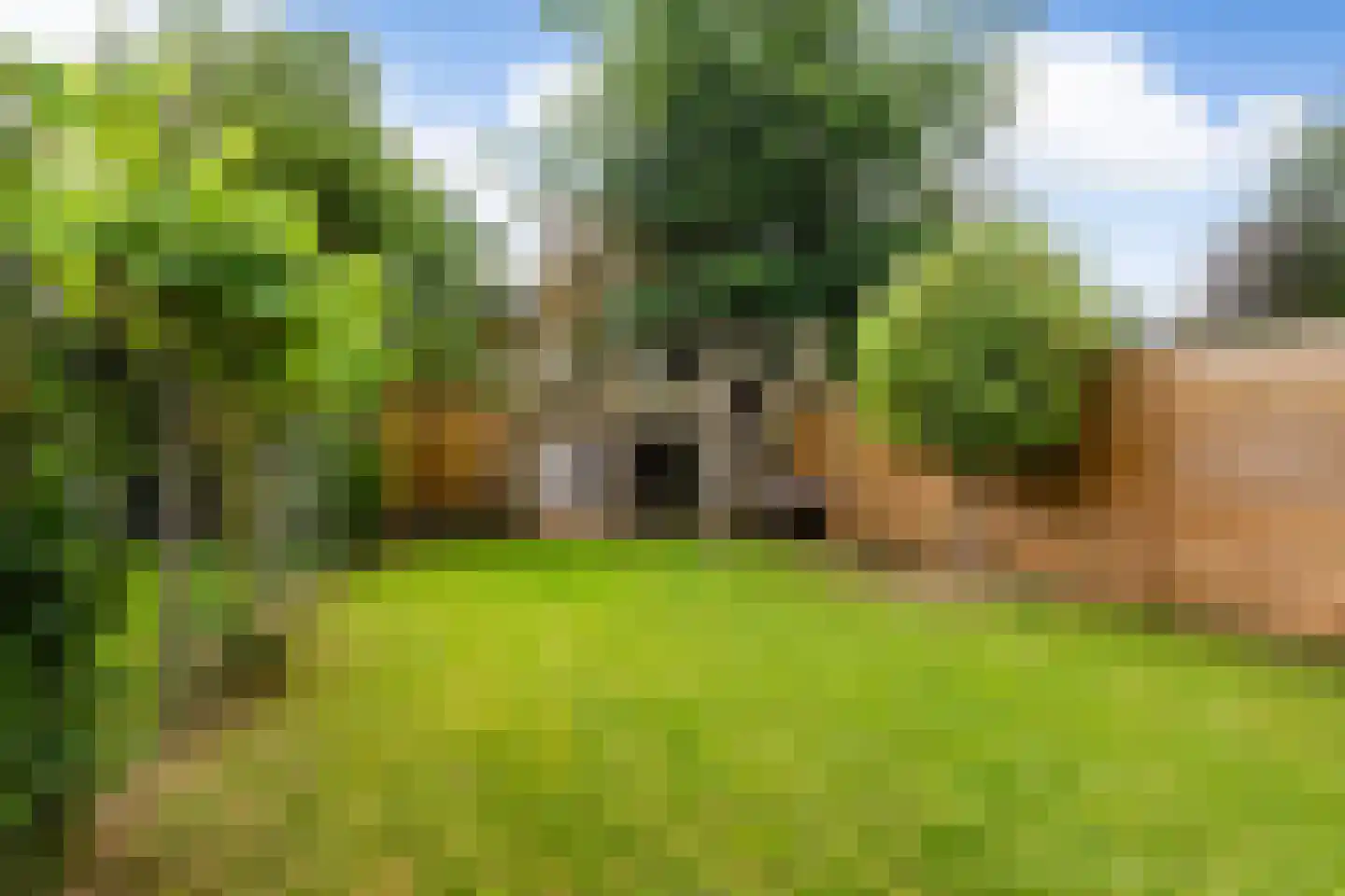 de Gealanden 149 Leeuwarden thumbnail 20