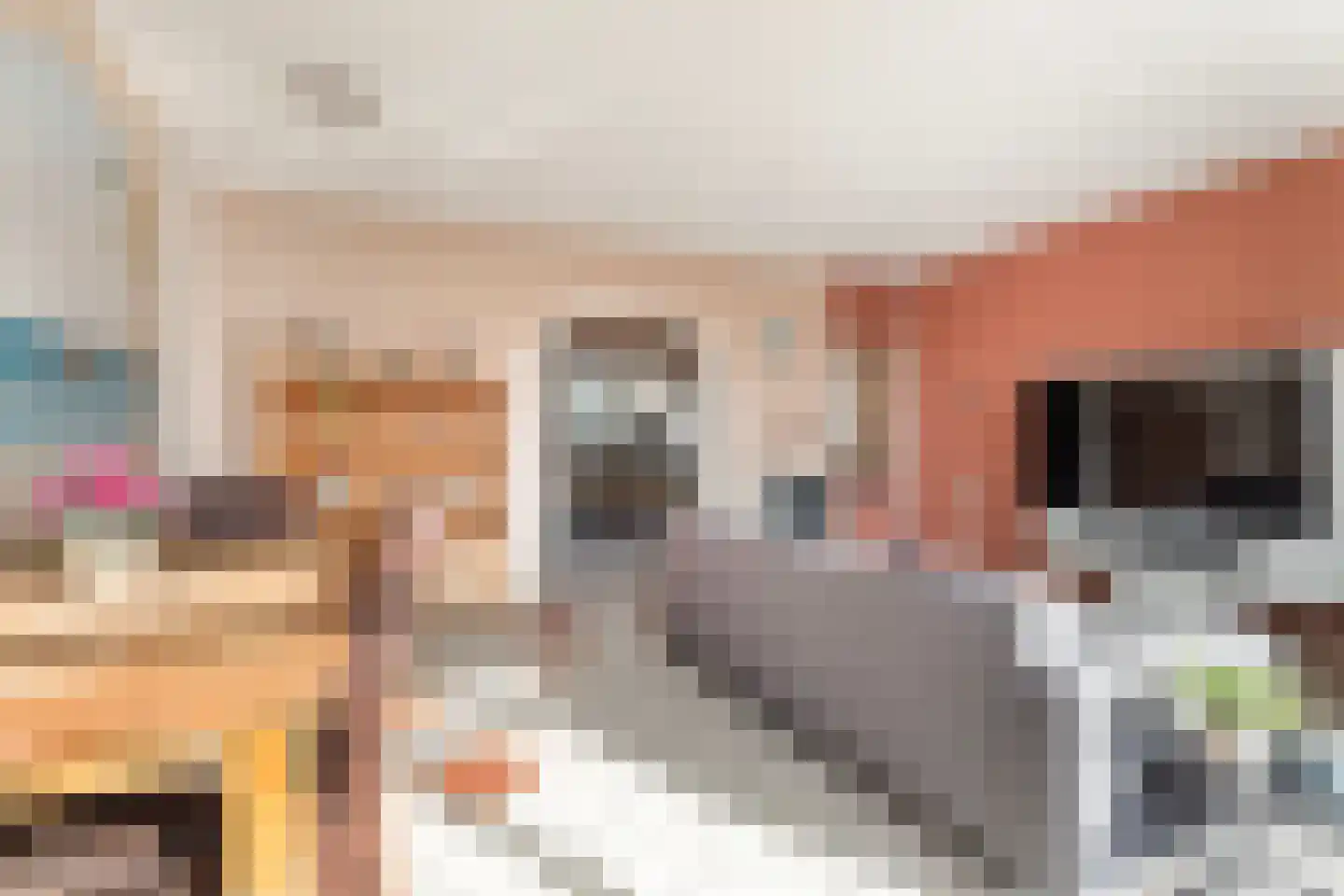 de Gealanden 31 Leeuwarden thumbnail 17