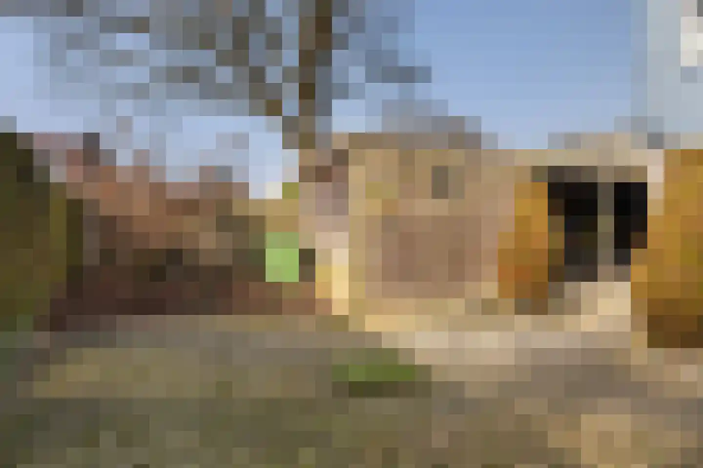 de Gealanden 31 Leeuwarden thumbnail 27
