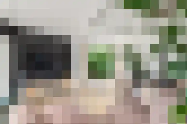 De Geasten 10 Oudega thumbnail 10