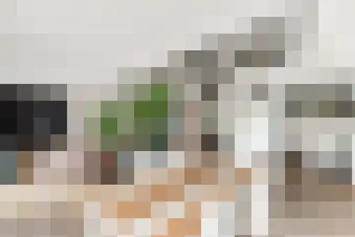 De Geasten 10 Oudega thumbnail 11