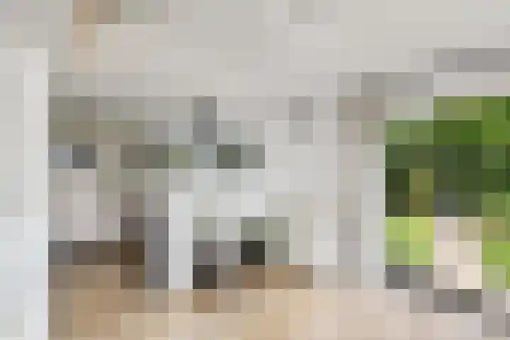 De Geasten 10 Oudega thumbnail 14