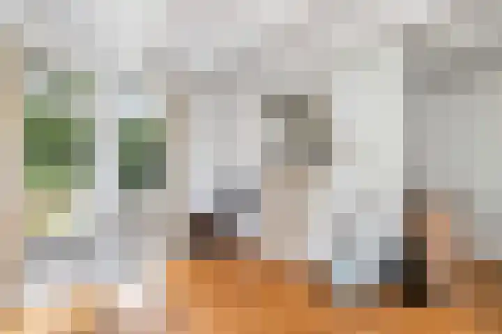 De Geasten 10 Oudega thumbnail 21