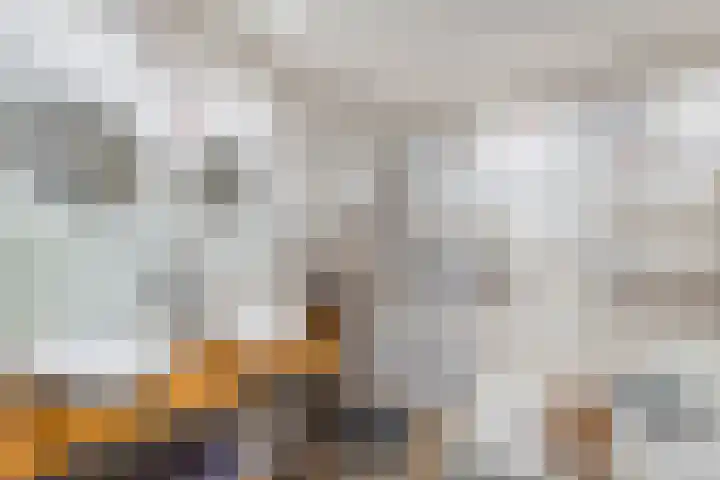 De Geasten 10 Oudega thumbnail 22