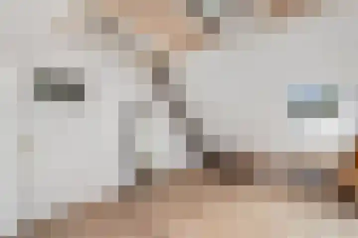De Geasten 10 Oudega thumbnail 29