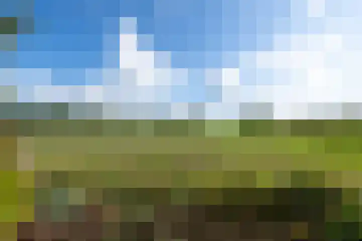 De Geasten 10 Oudega thumbnail 48