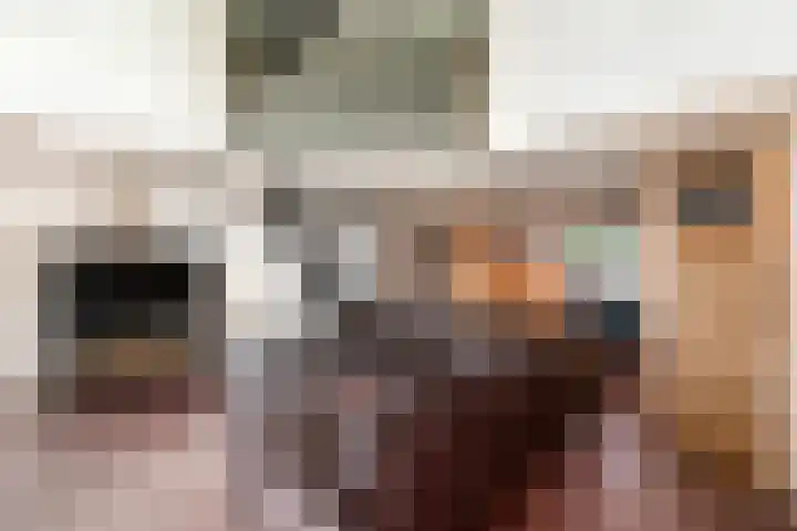 De Geasten 10 Oudega thumbnail 54