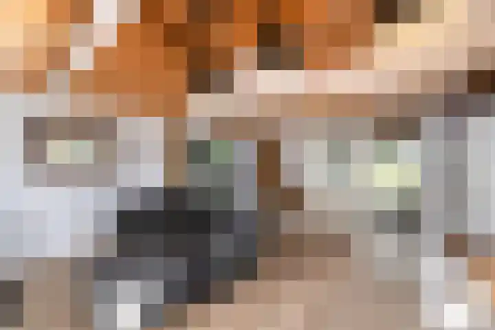 De Geasten 10 Oudega thumbnail 68
