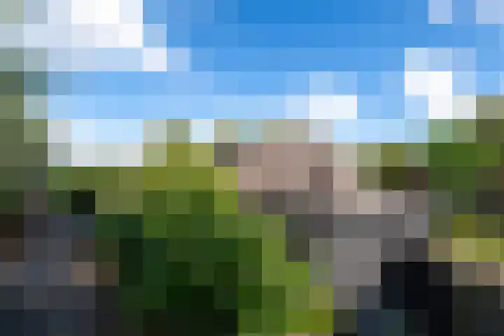 De Geasten 10 Oudega thumbnail 74