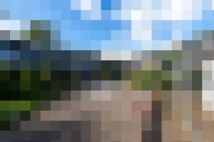 De Geasten 10 Oudega thumbnail 77