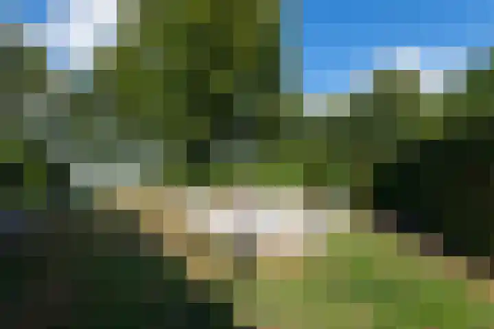 De Geasten 10 Oudega thumbnail 80