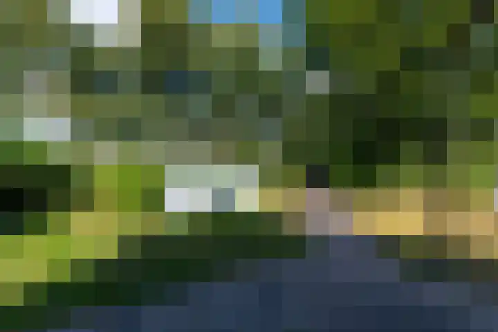 De Geasten 10 Oudega thumbnail 81