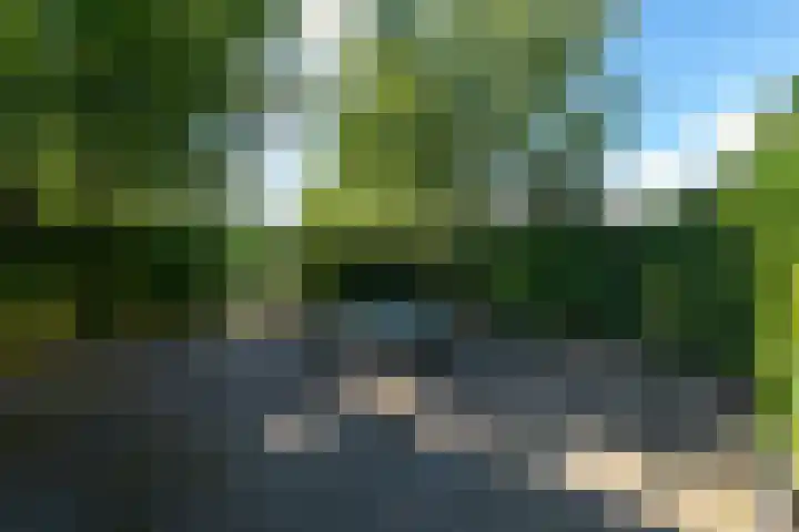 De Geasten 10 Oudega thumbnail 84