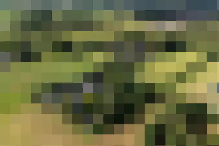 De Geasten 10 Oudega thumbnail 91