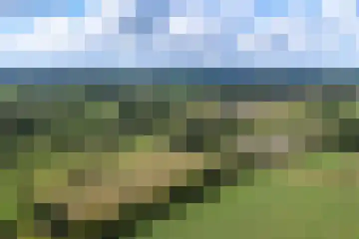 De Geasten 10 Oudega thumbnail 92