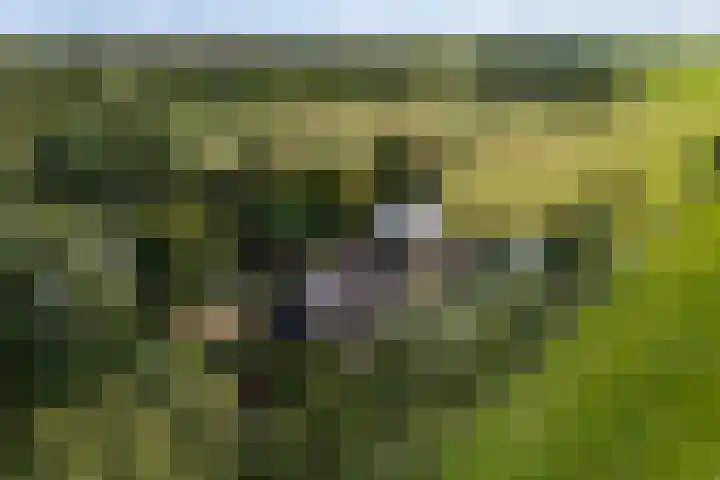 De Geasten 10 Oudega thumbnail 93