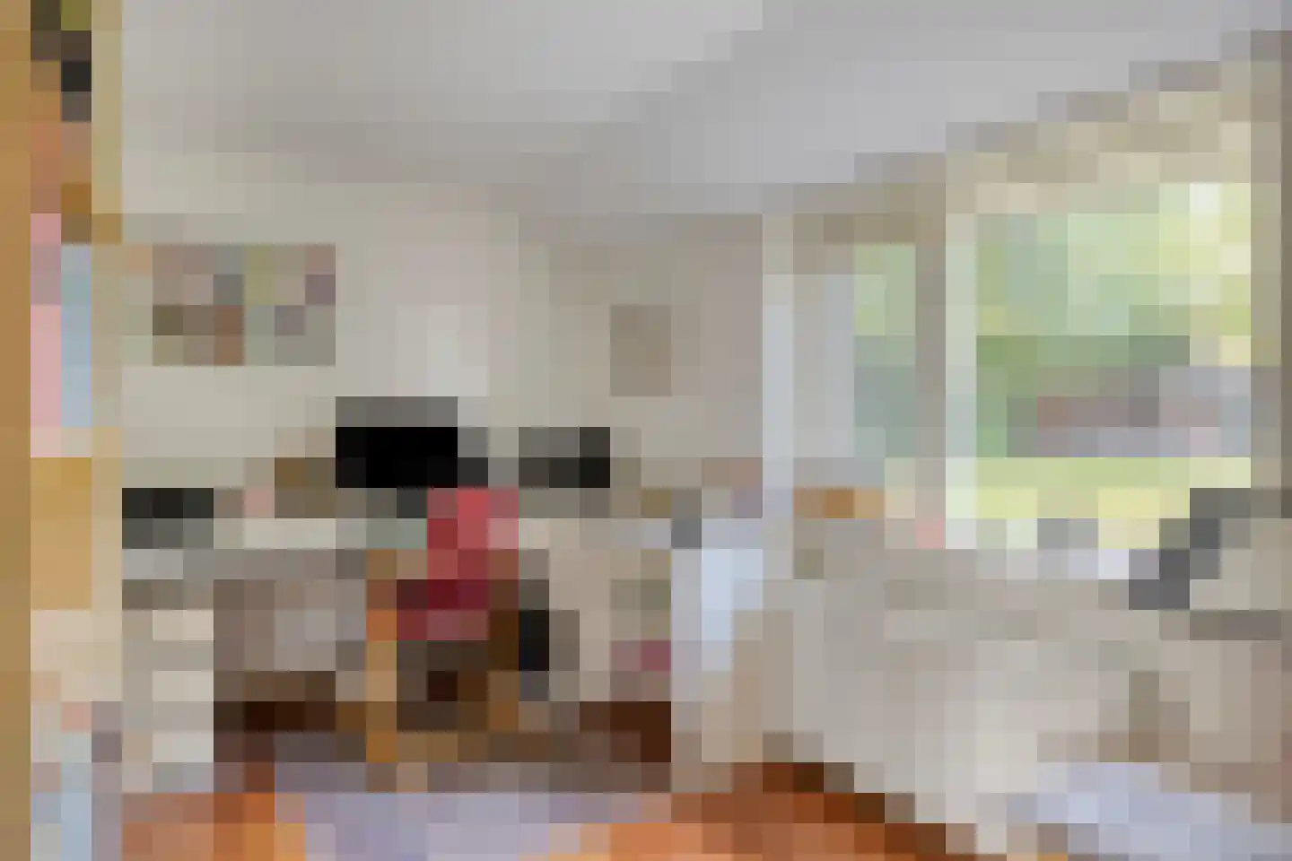 De Gebuurte 5 Overslag thumbnail 11