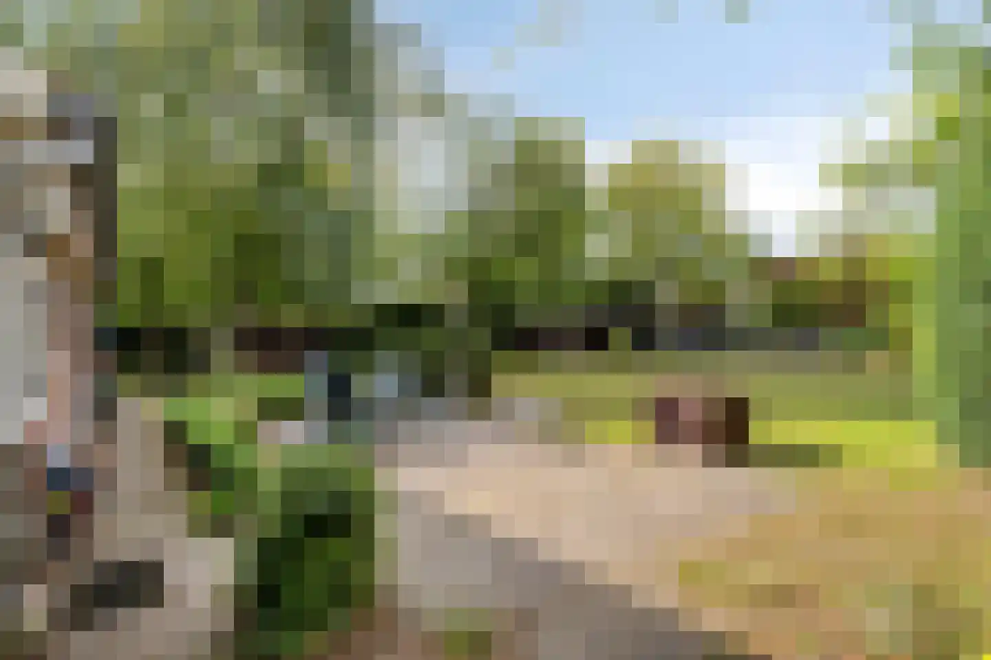 De Gebuurte 5 Overslag thumbnail 22