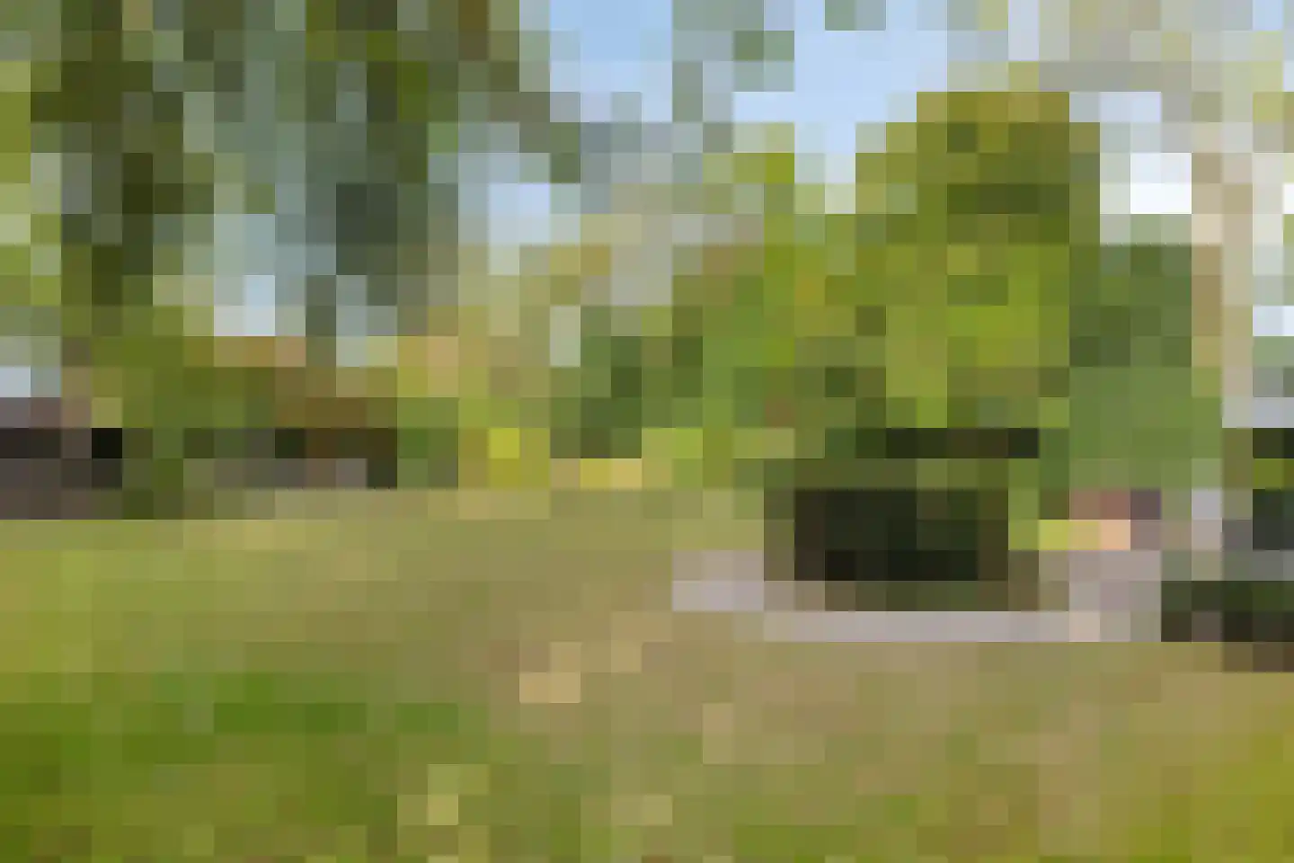 De Gebuurte 5 Overslag thumbnail 23