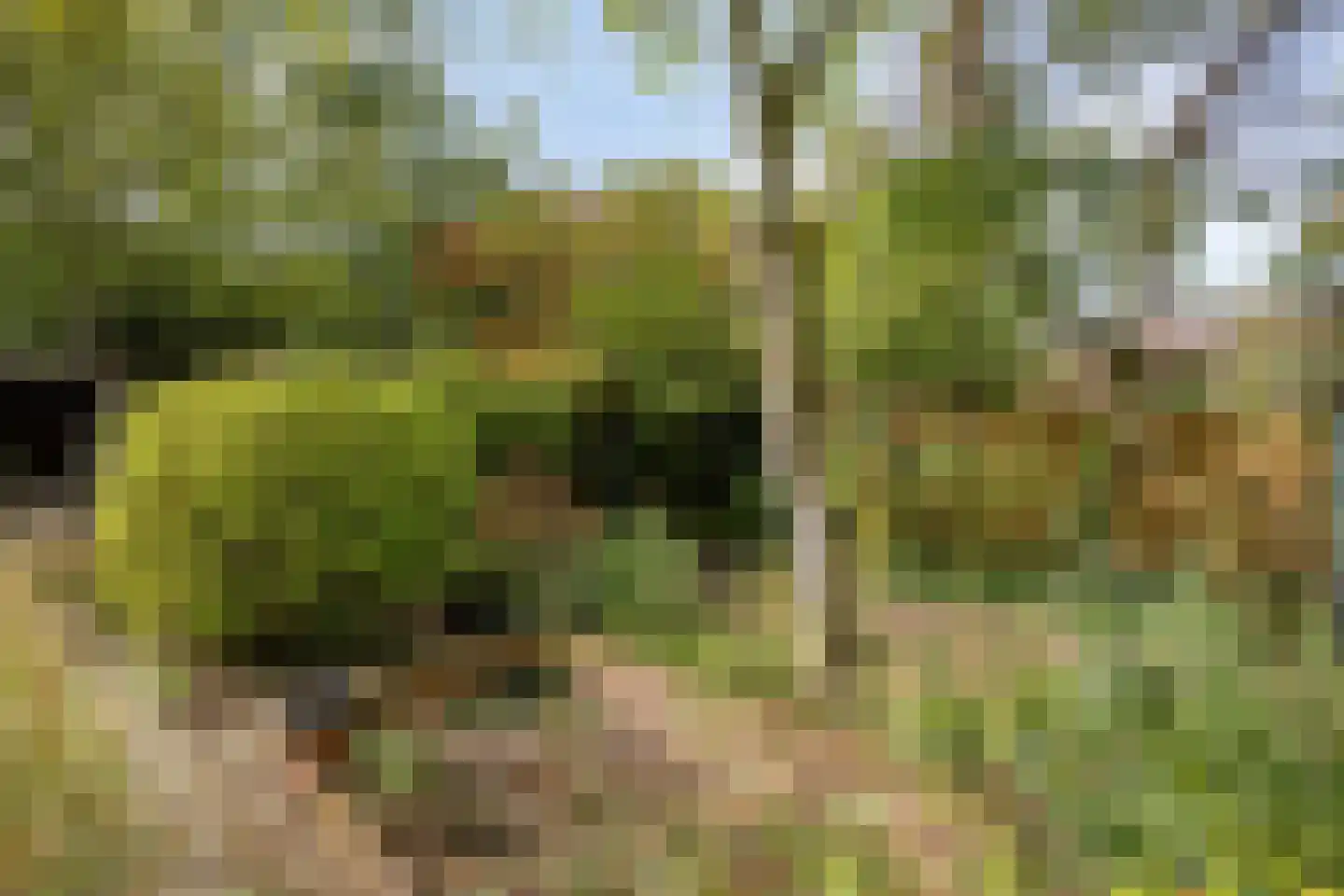 De Gebuurte 5 Overslag thumbnail 25