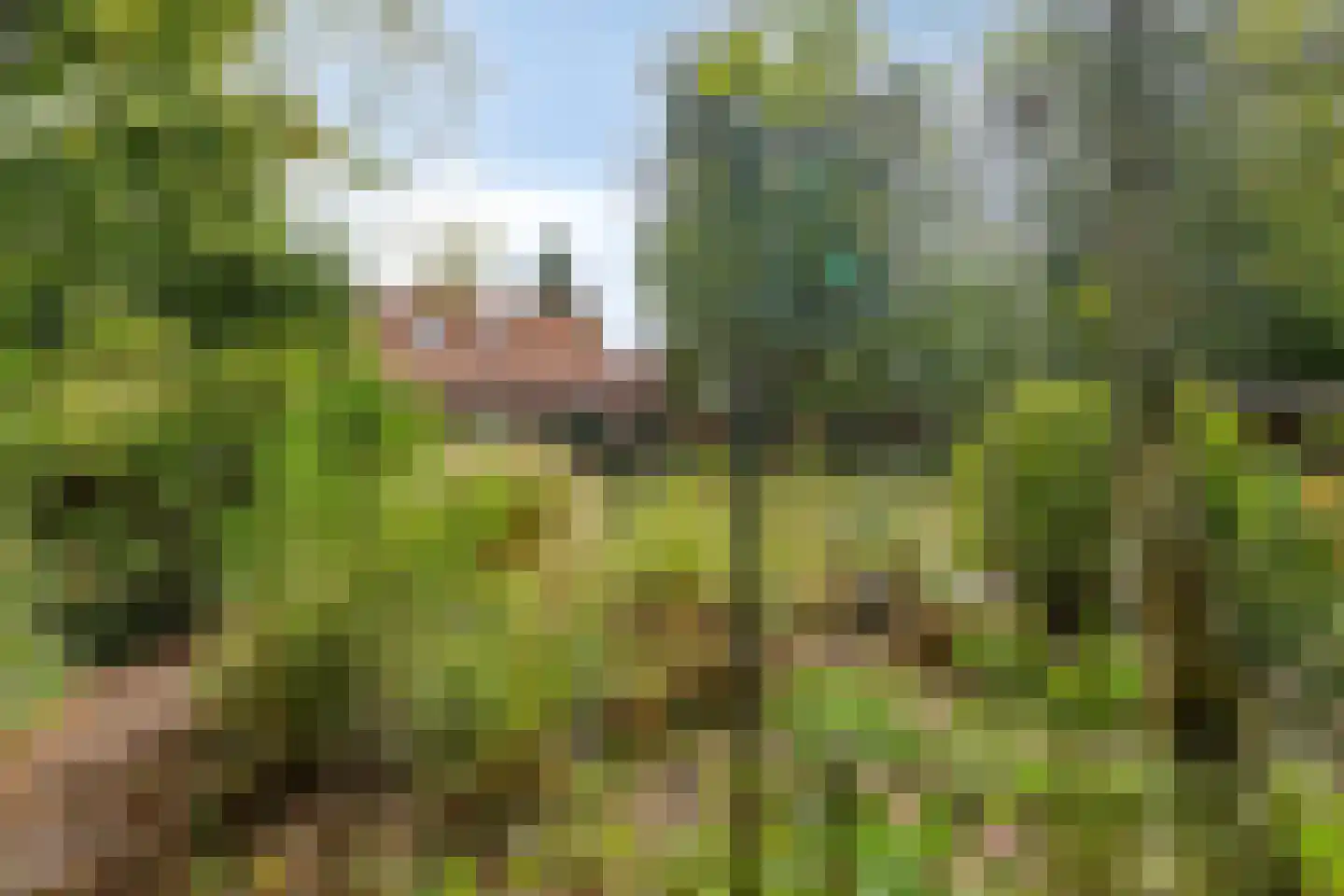 De Gebuurte 5 Overslag thumbnail 26