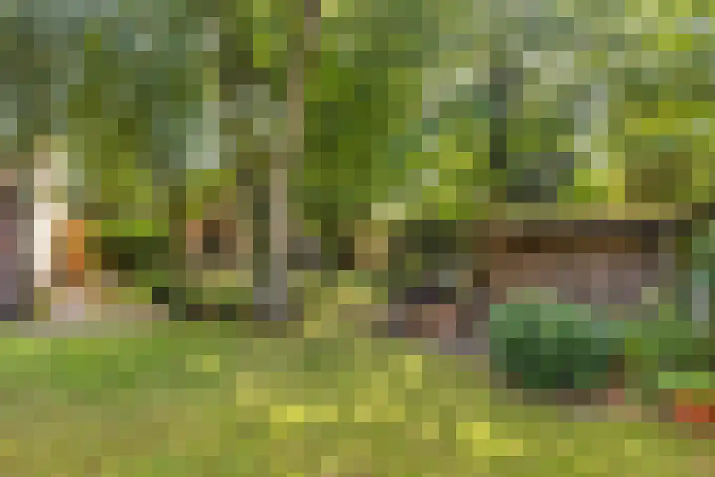 De Gebuurte 5 Overslag thumbnail 27